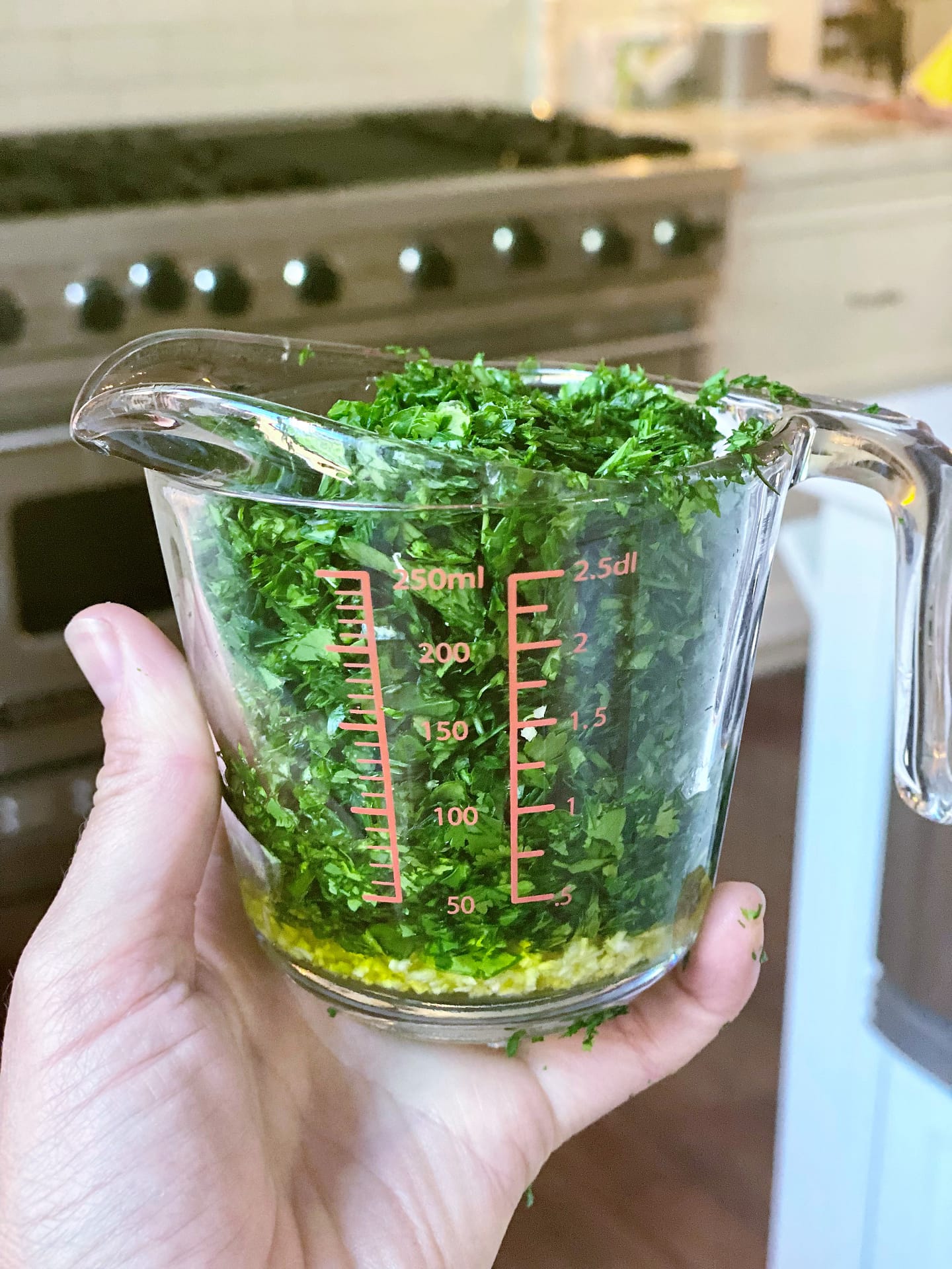 Chopped parsley, cilantro and garlic for chimichurri recipe